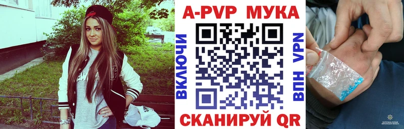 A PVP СК  Севск 