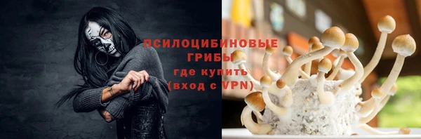 мдпв Балахна